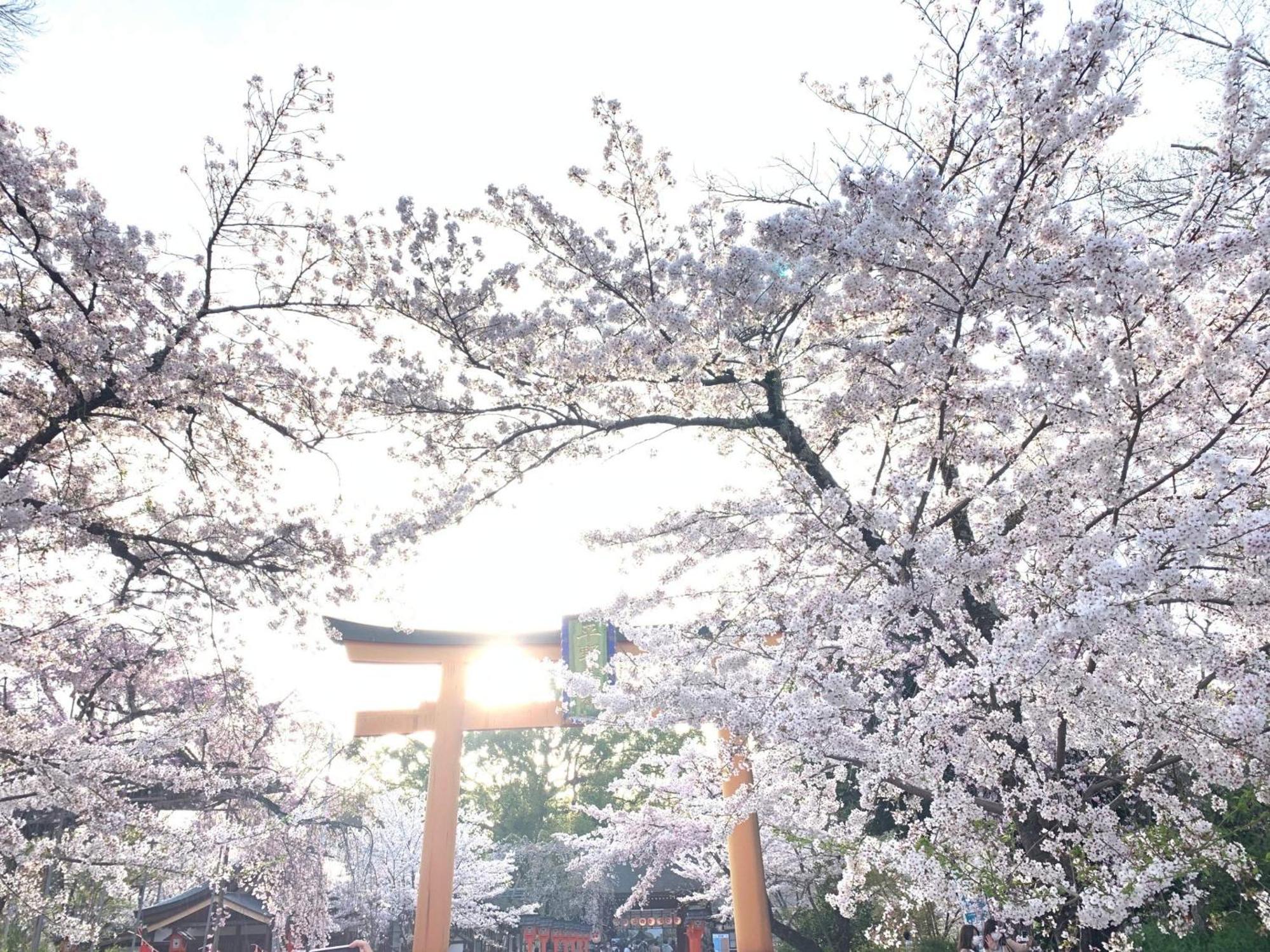 Kyounoyado Hana Nishijin - Kimono No Yado Киото Екстериор снимка